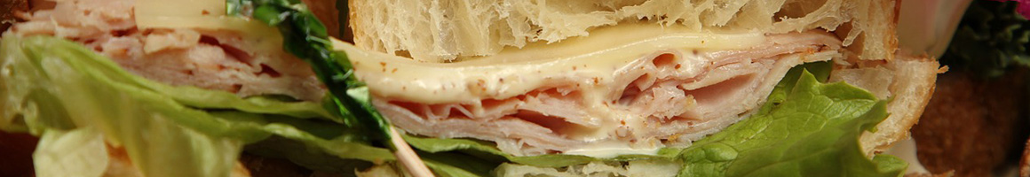 Eating American (Traditional) Deli Sandwich at Lonni's sandwiches, etc restaurant in Dunedin, FL.
